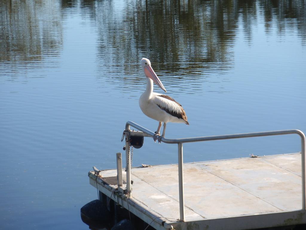 Maroochy Waterfront Motel Sunshine Coast Exterior foto
